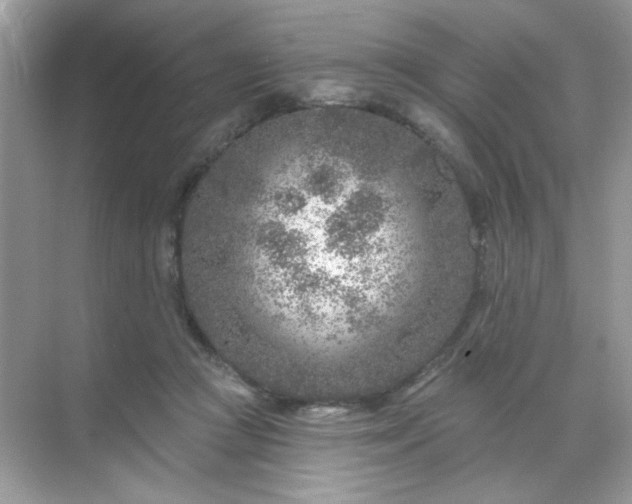 X0000071800361200607072057