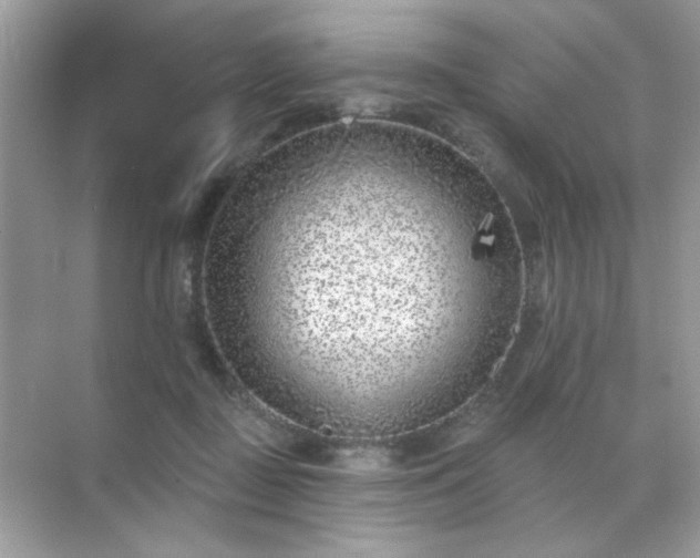 X0000071800363200607072057