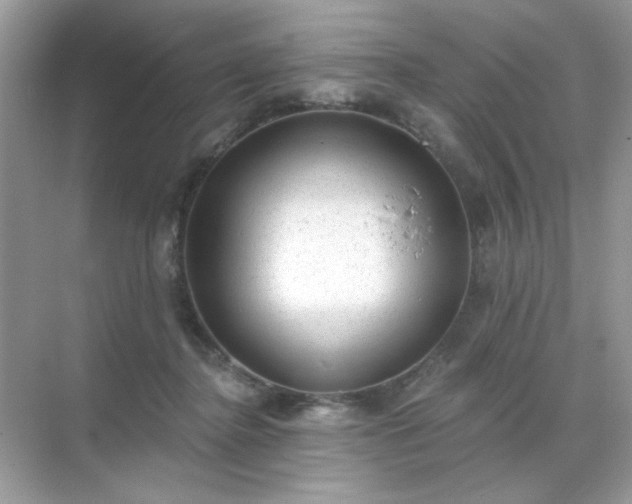 X0000071800364200607072057