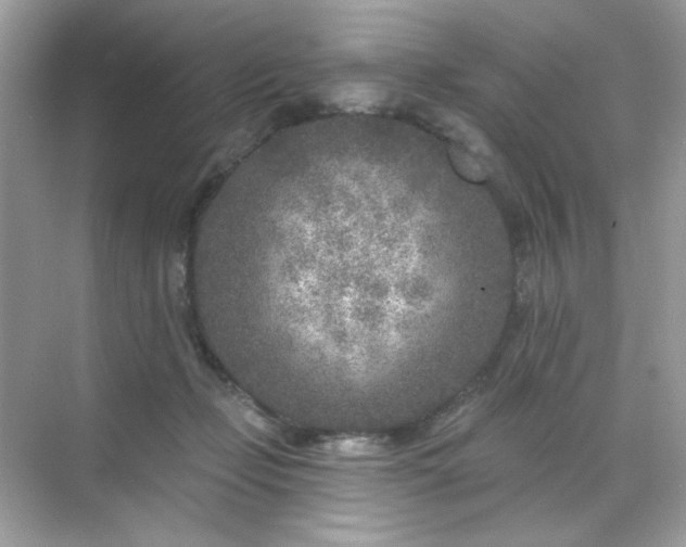 X0000071800365200607072057