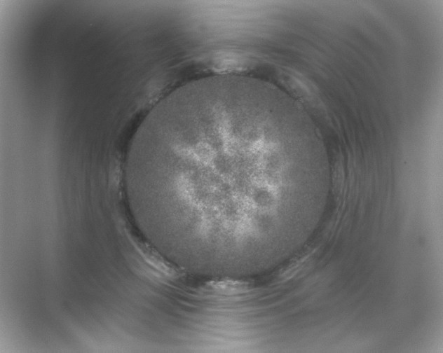 X0000071800367200607072057