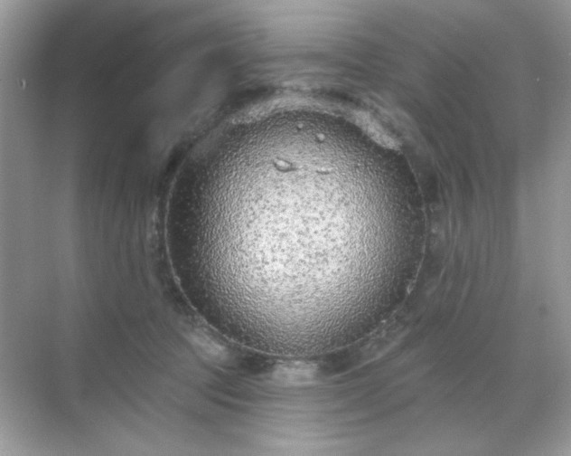 X0000071800369200607072058