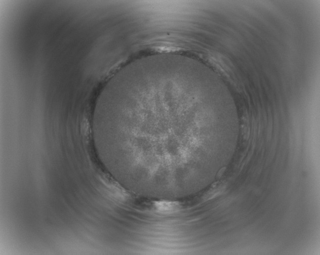 X0000071800371200607072058