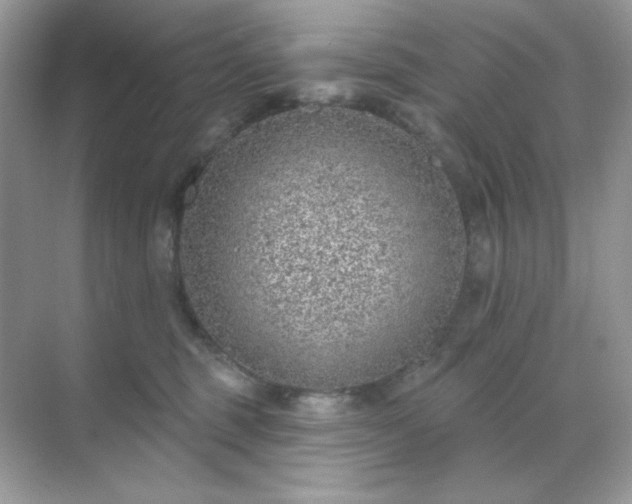 X0000071800375200607072058