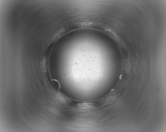 X0000071800378200607072058