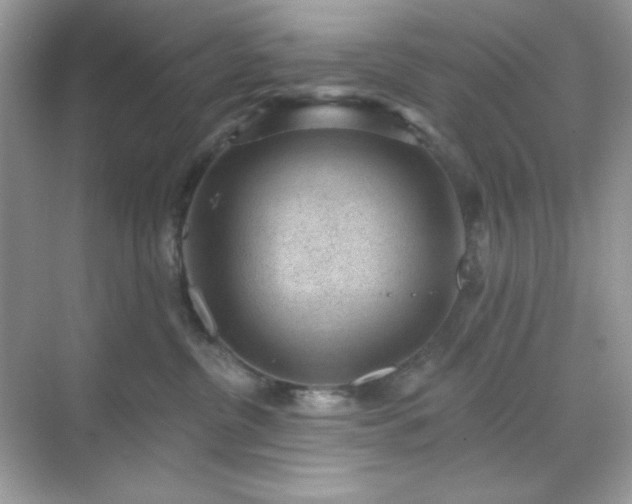 X0000071800380200607072058