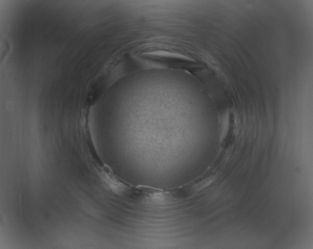 X0000071800382200607072058