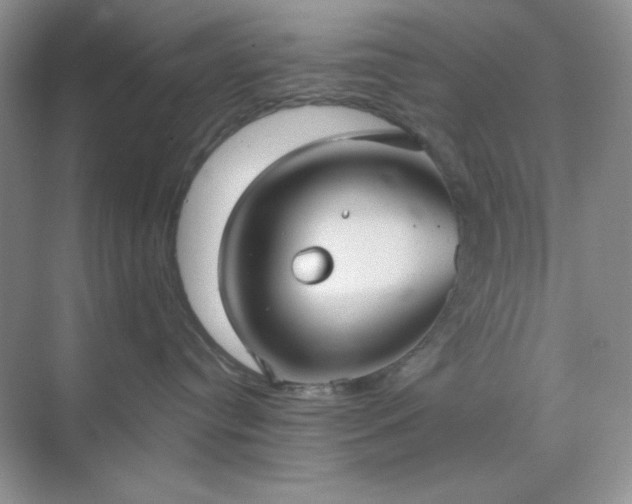 X0000071800384200607072058