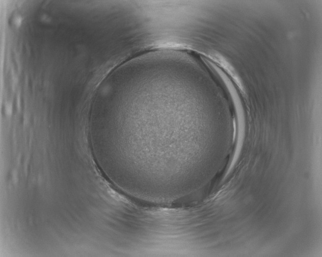 X0000071800385200607072057