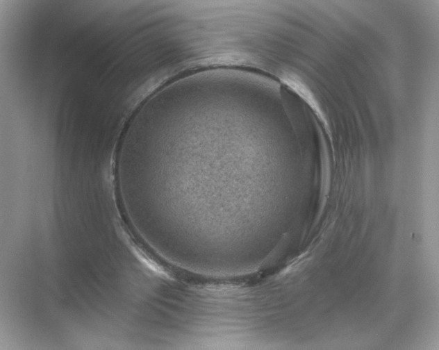 X0000071800389200607072057