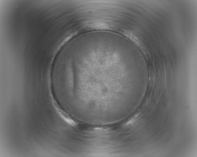 X0000071800390200607072057