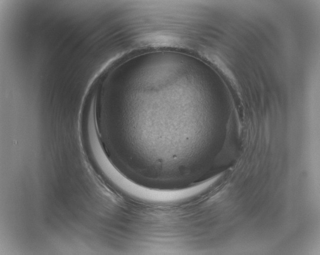 X0000071800391200607072057