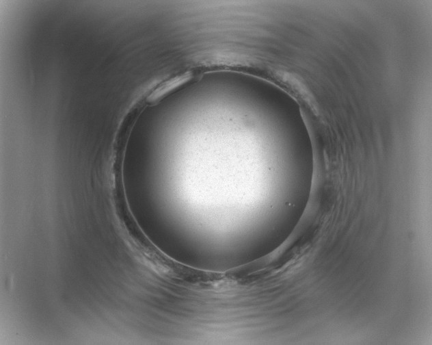 X0000071800395200607072057