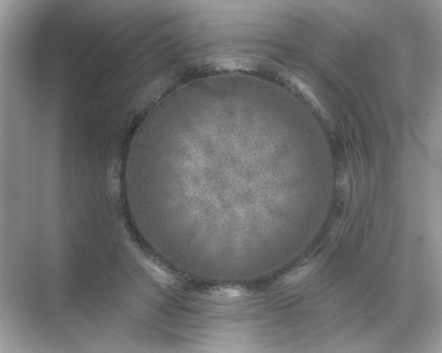 X0000071800402200607072057