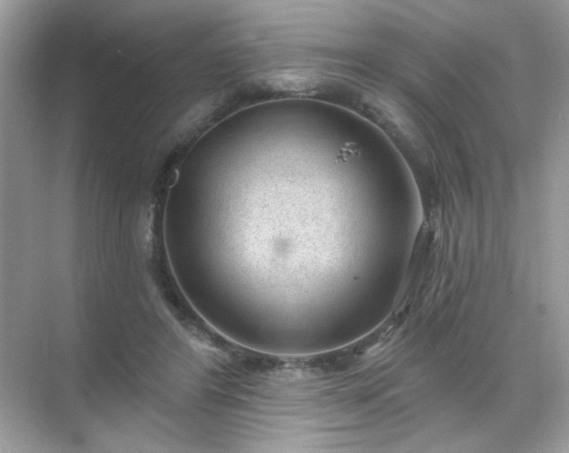 X0000071800404200607072057