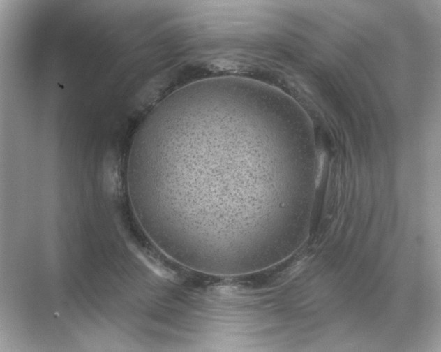 X0000071800408200607072057