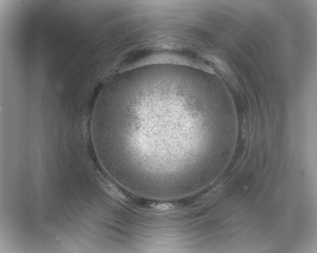 X0000071800409200607072057