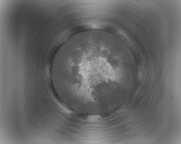 X0000071800410200607072057