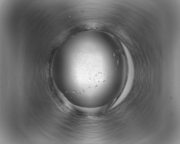 X0000071800413200607072057