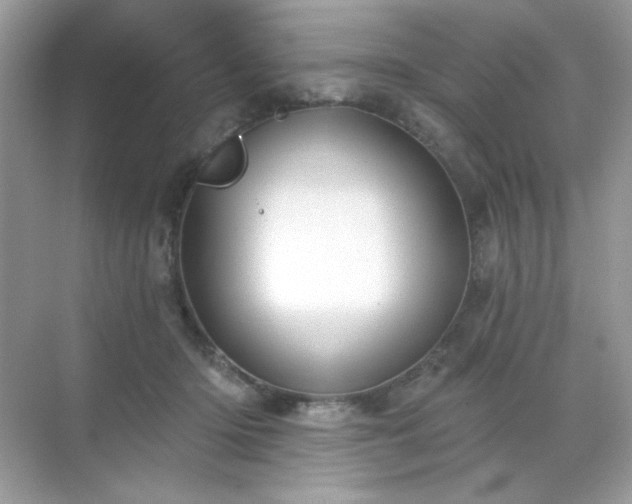 X0000071800414200607072056