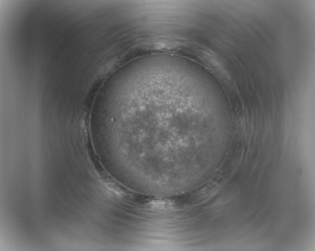 X0000071800415200607072056