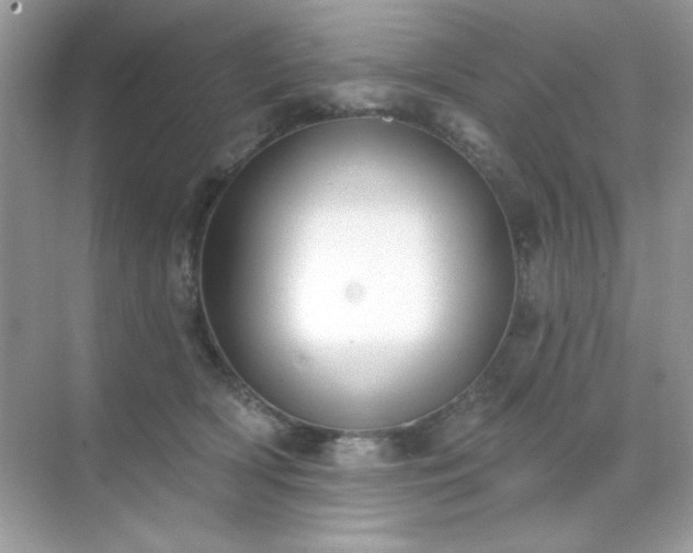 X0000071800418200607072056