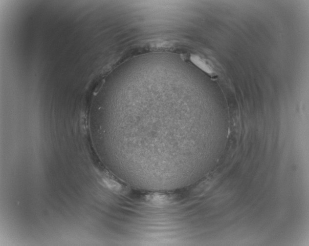 X0000071800419200607072056