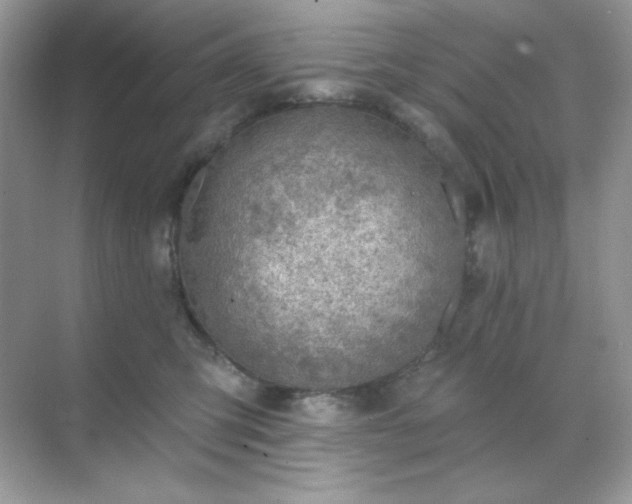 X0000071800423200607072056