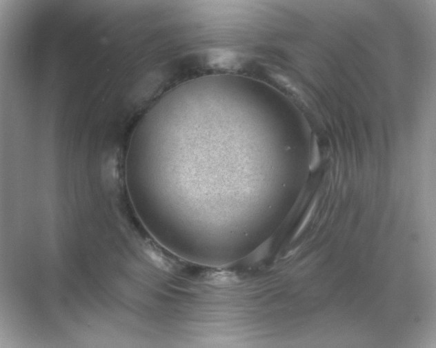 X0000071800424200607072056