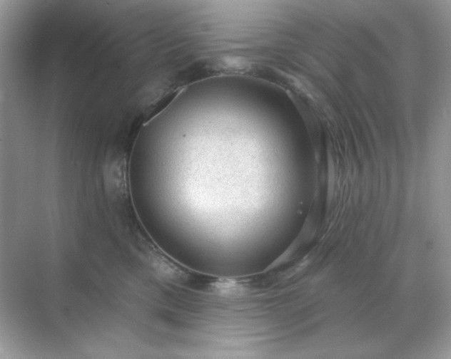 X0000071800425200607072056