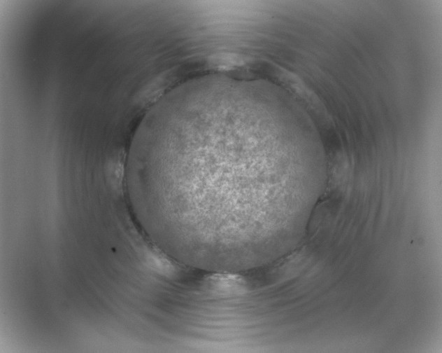 X0000071800427200607072056