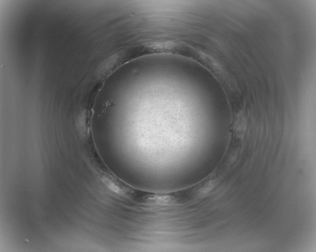 X0000071800428200607072056