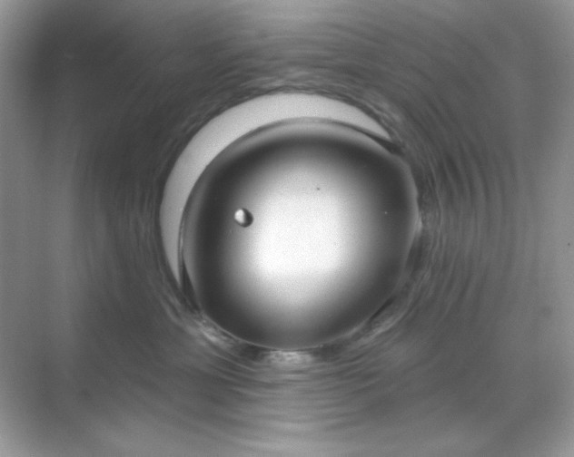 X0000071800429200607072056