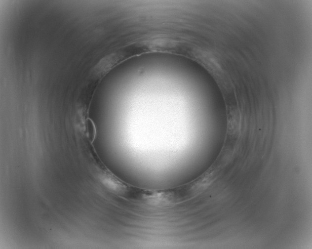 X0000071800430200607072056