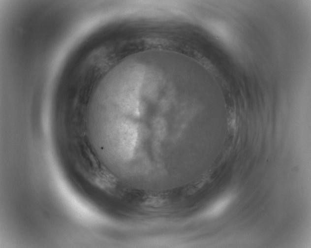 X0000071800431200607072056