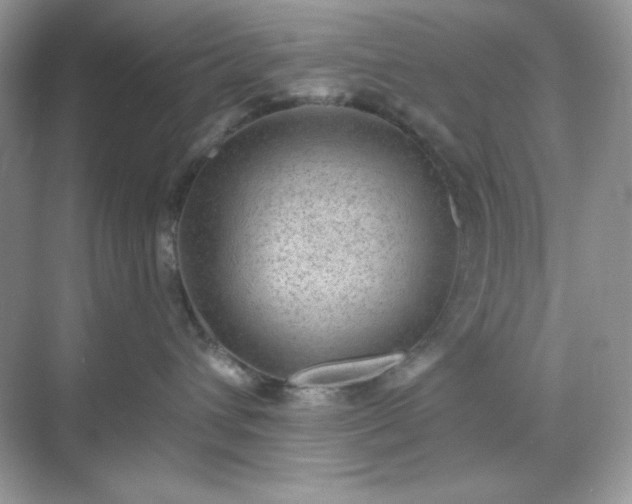 X0000071800432200607072056