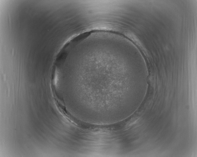 X0000071800434200607072055