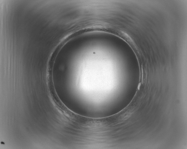 X0000071800435200607072055