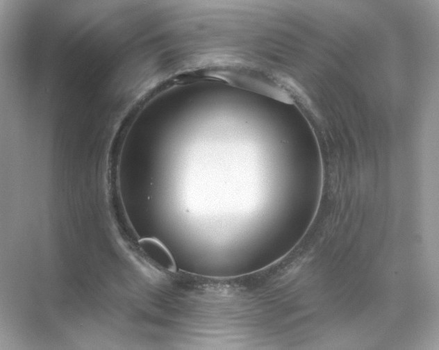 X0000071800439200607072055