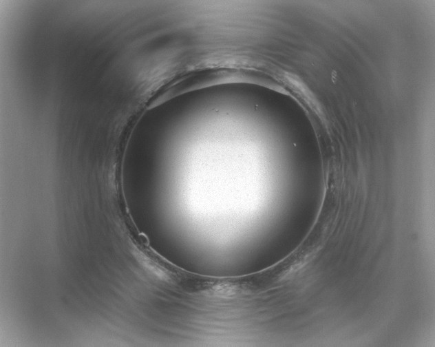 X0000071800441200607072056