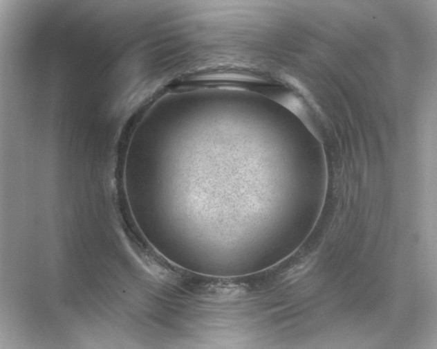 X0000071800443200607072056