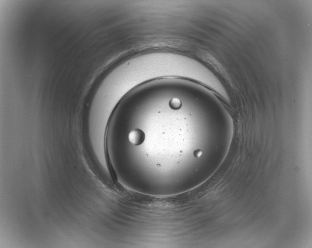 X0000071800444200607072056