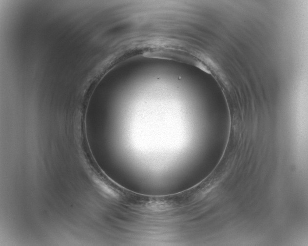 X0000071800445200607072056