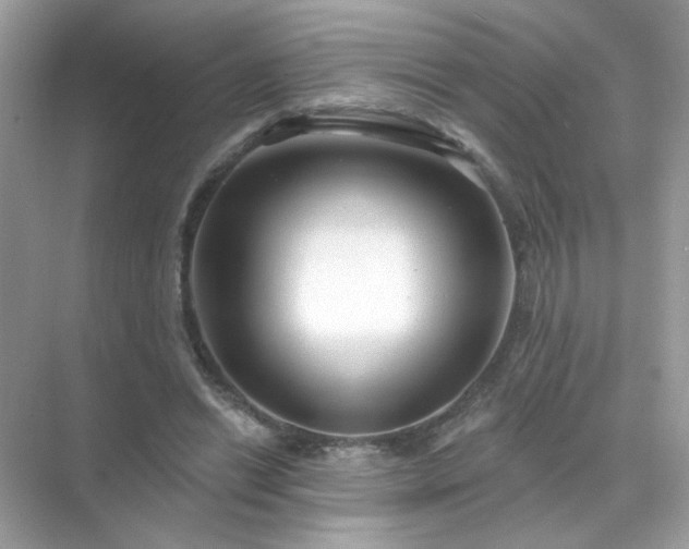 X0000071800446200607072056