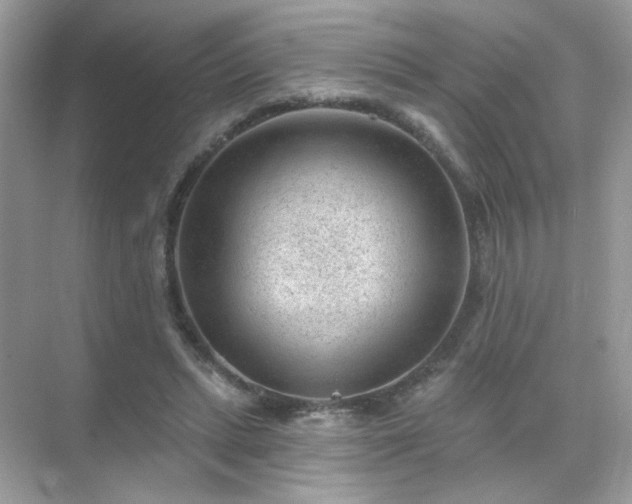 X0000071800447200607072056