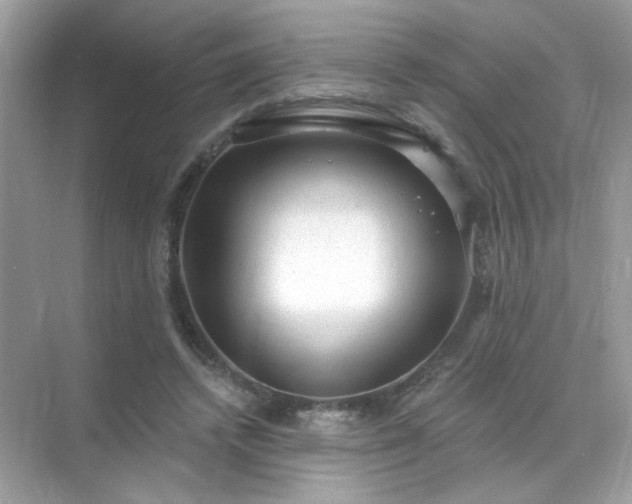 X0000071800448200607072056