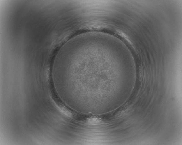 X0000071800451200607072056