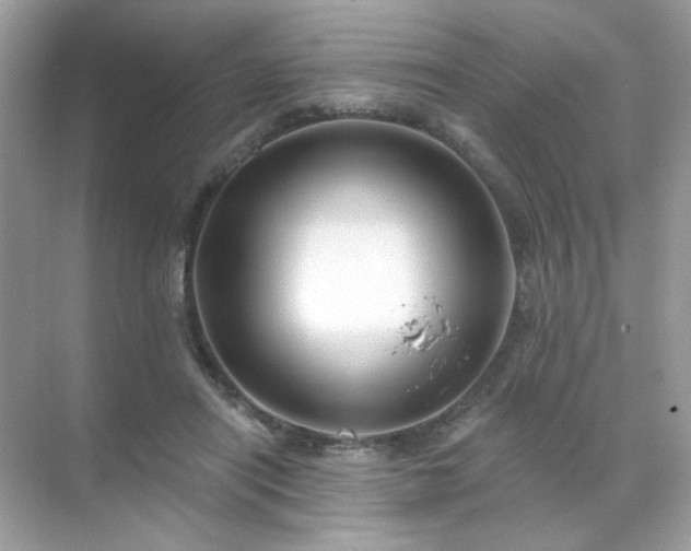 X0000071800454200607072056