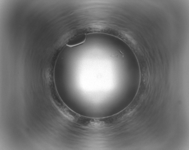 X0000071800455200607072056