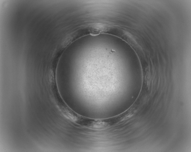 X0000071800459200607072056